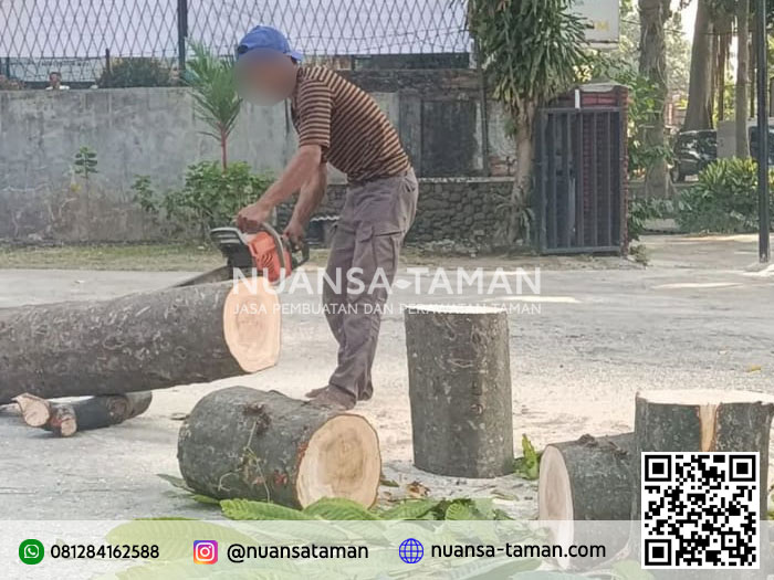 Jasa Tebang Pohon Lebak Bulus