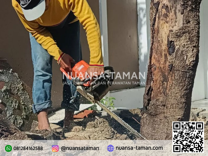 jasa tebang pohon sawangan